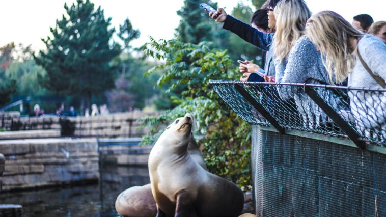 KBH Zoo